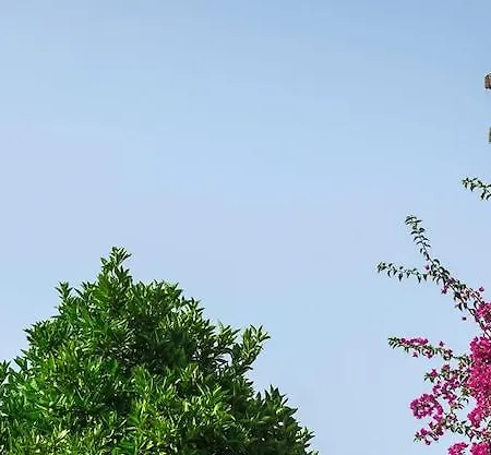 Resort Venüs